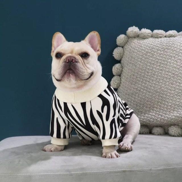 ゼブラ柄 ハイネック スウェット セーター 秋冬 犬 服 フレブル Zebra
