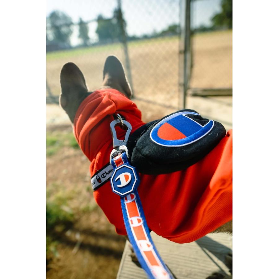 CHAMPION FRESH PAWZ LEASH チャンピオン コラボ 犬 リード 限定
