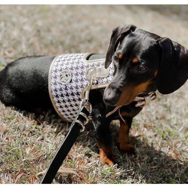 LBT Tactical K9ハーネス ドッグハーネス シールチーム ハンドラー LBT