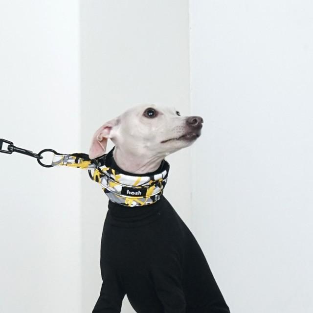 ai様 首輪 カラー 犬 レザー Hロゴ トワルアッシュ ペット Sサイズ hosh イタグレ ミニピン ペイント 柄 チョーク型 ドッグカラー