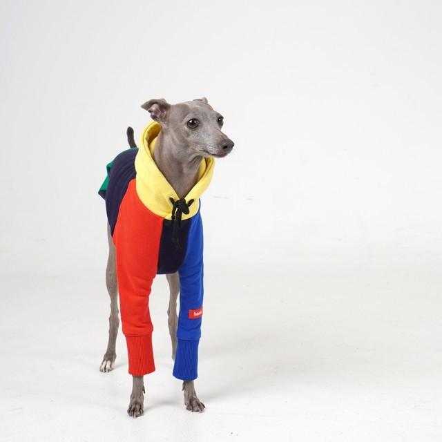 hosh イタグレ ブリックフリース 裏起毛 パーカー 犬 服 インポート