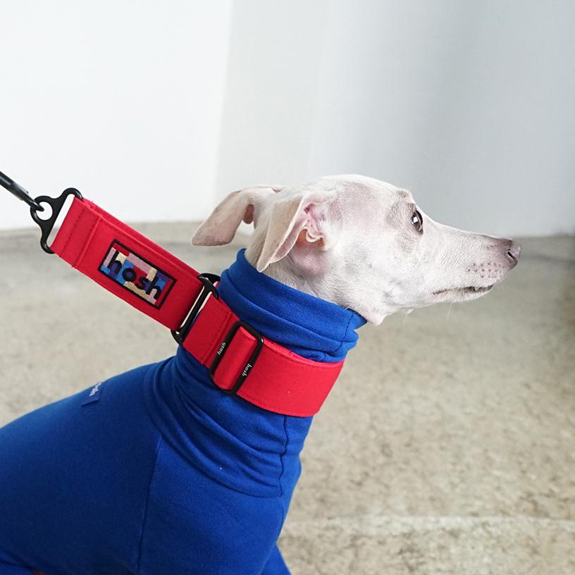 2025年最新】ushh イタグレの人気アイテム - メルカリ ushh エコファー