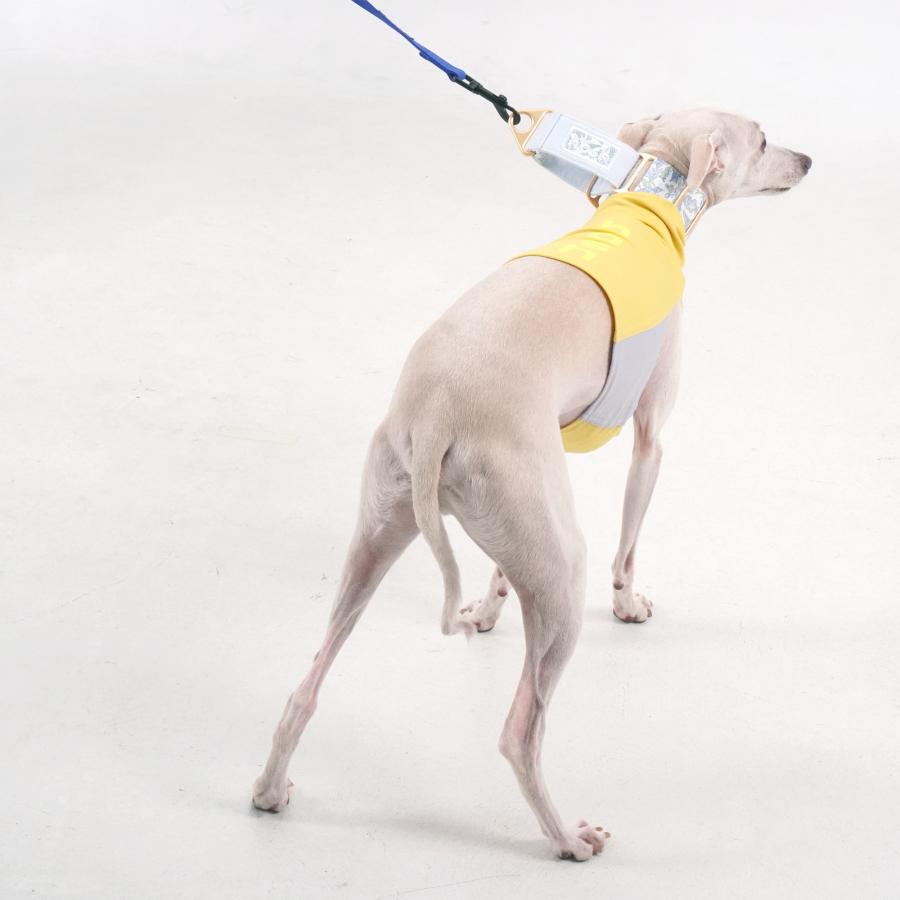 hosh イタグレ ミニピン フラワー柄 花柄 チョーク型 ドッグカラー 犬