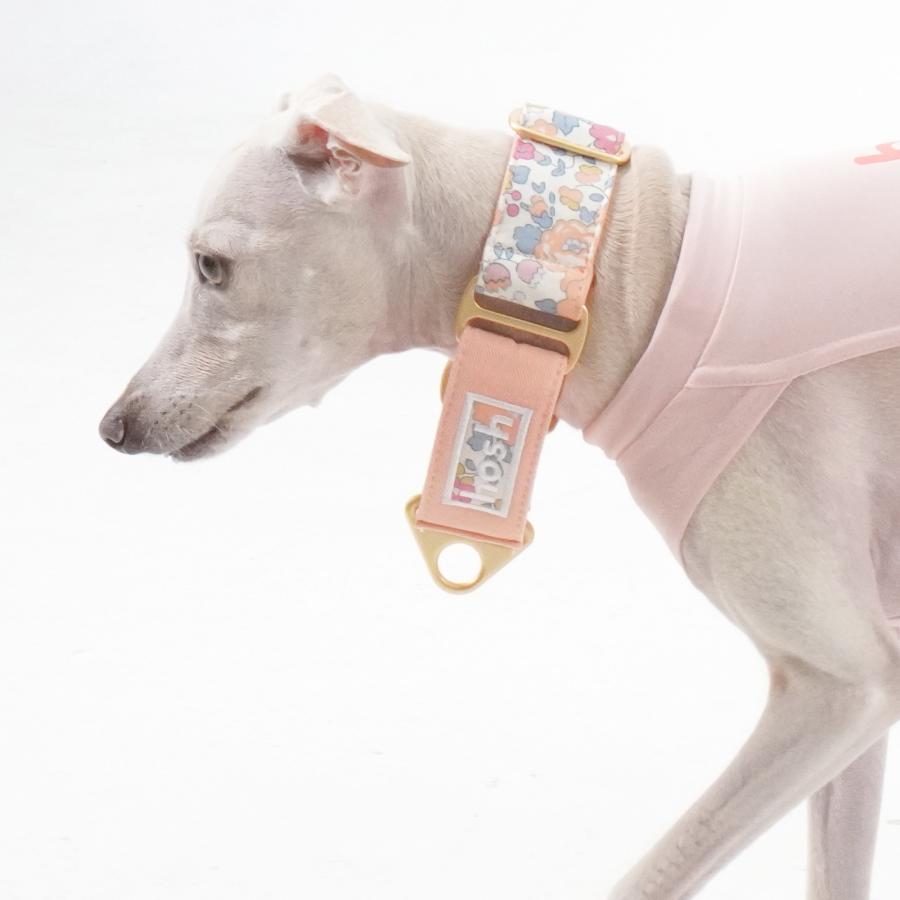 hosh イタグレ ミニピン フラワー柄 花柄 チョーク型 ドッグカラー 犬