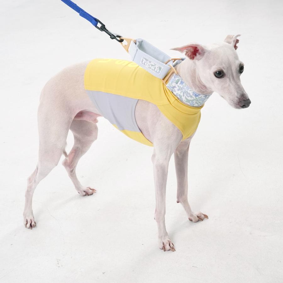 hosh イタグレ ミニピン フラワー柄 花柄 チョーク型 ドッグカラー 犬