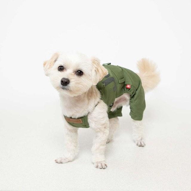 犬服 オーバーオール Jeep(R) カーキ ベージュ ペット服 ダックス