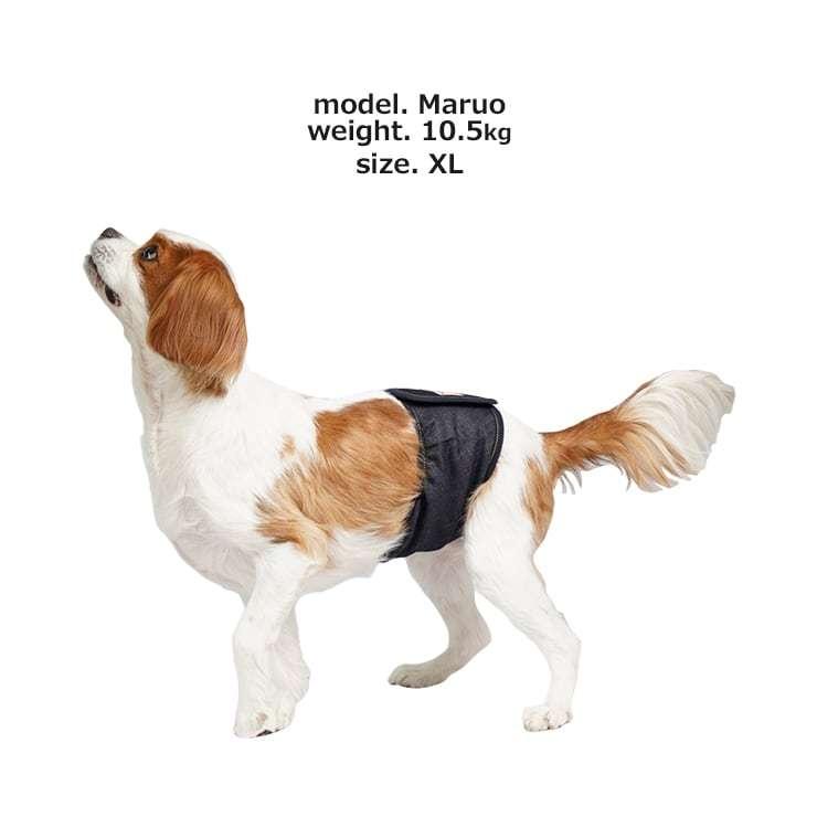 MANDARINE BROTHERS（マンダリンブラザーズ） 【S-XXLサイズ】 マナー