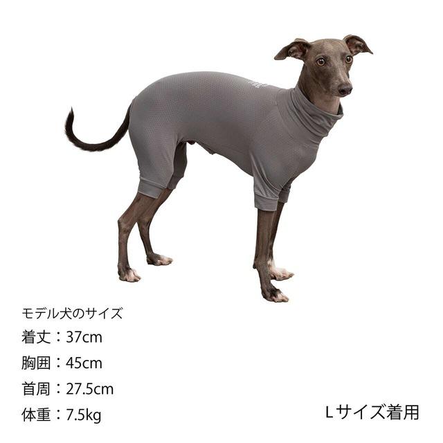MANDARINE BROTHERS 【3L-5Lサイズ】 マンダリンブラザーズ MANDARINE BROTHERS 【3L-5Lサイズ】 マンダリンブラザーズ