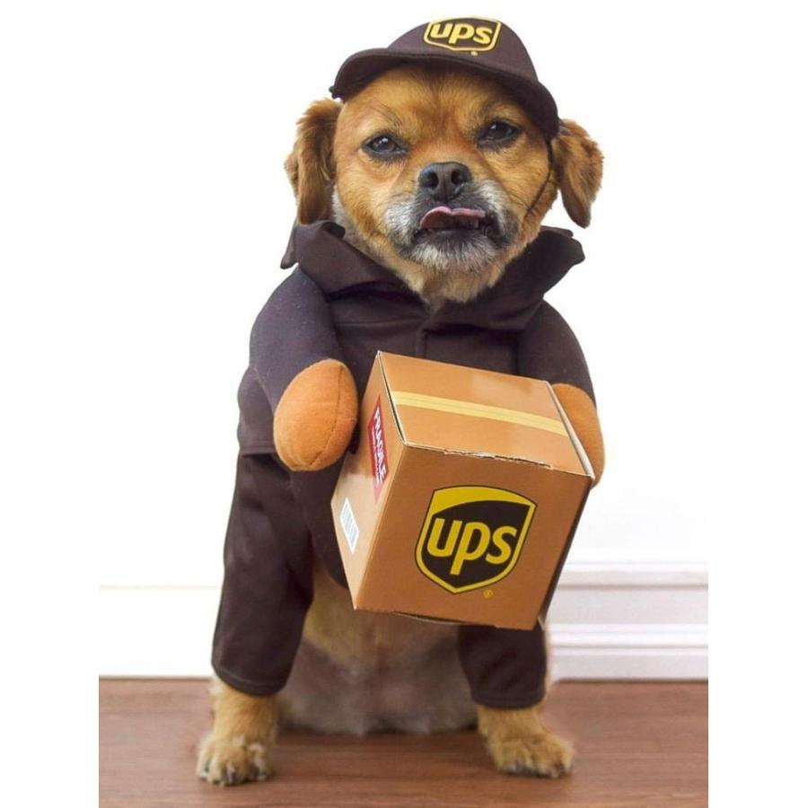 UPS アメリカ デリバリー コスチューム 宅急便 大型犬 中型犬 小型犬 犬服 ハロウィーン ドッグウェア ペットウェア Delivery Dog Costume