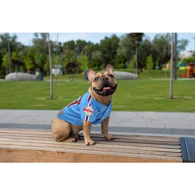 PETS FIRST MLB【PHILADELPHIA PHILLIES】 メジャーリーグ