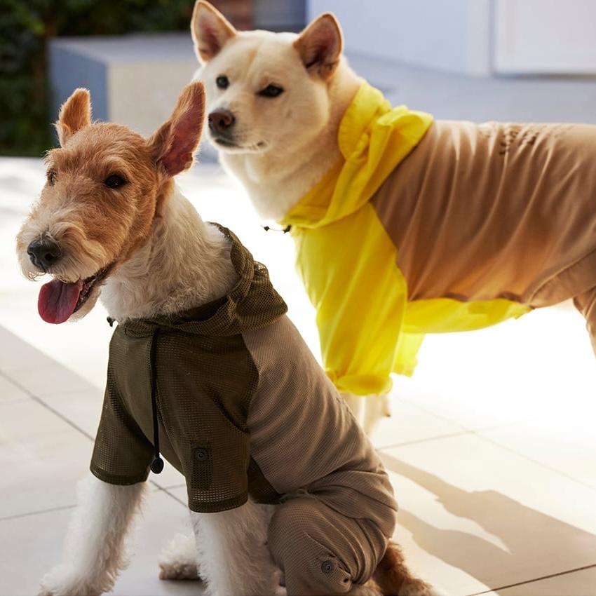 MANDARINE BROTHERS 【XL-XXLサイズ】 マンダリンブラザーズ