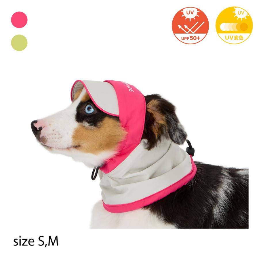 イヌ シャルプラニナッツ - Wikipedia