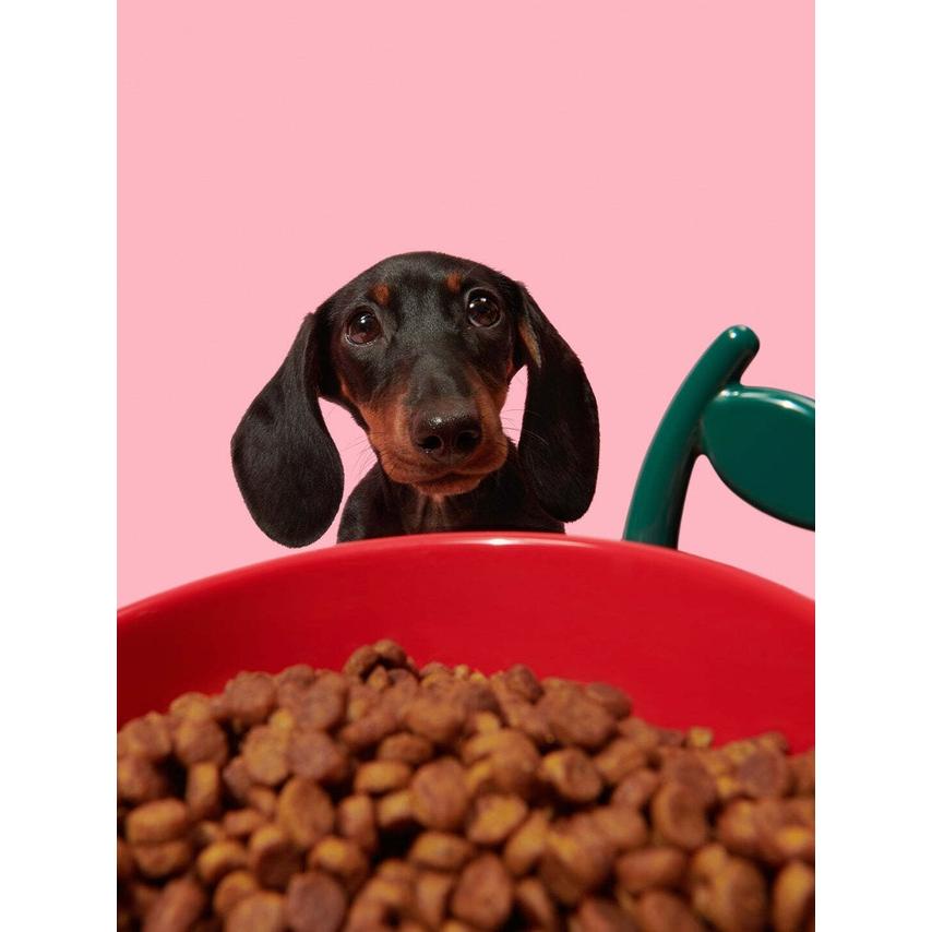 VETRESKA ベトレスカ ジューシーチェリー ペットボウル スプーン マット 3点セット 犬猫 ペット用品 デザイナーズ 海外取寄 JUICY CHERRY PET BOWL SET_4