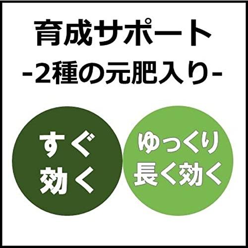 プロトリーフ室内向け観葉・多肉の土10号鉢用 8.4L｜straw-osaka｜02