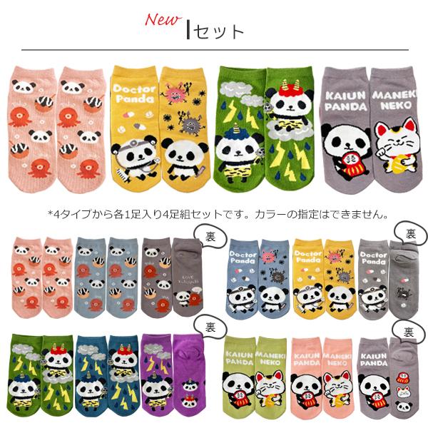 nastydog 靴下　4点セット 楽天市場】【ゆうパケット16】靴下 レディース 犬 柄 春夏