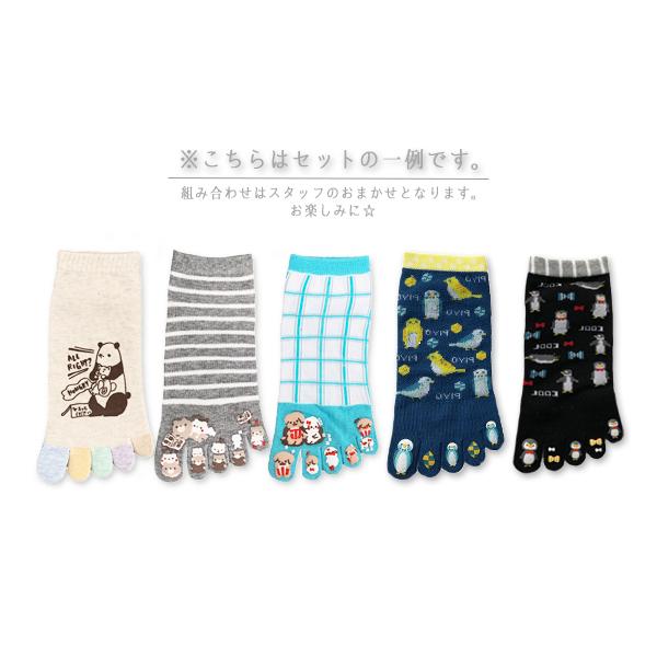 ゆうパケット送料無料 5本指ソックス 靴下 レディース スニーカー くるぶし 5足組 ラバープリント アニマル キャラクター かわいい 春夏 ビビット 23 25cm Set5sss2 Stream 通販 Yahoo ショッピング
