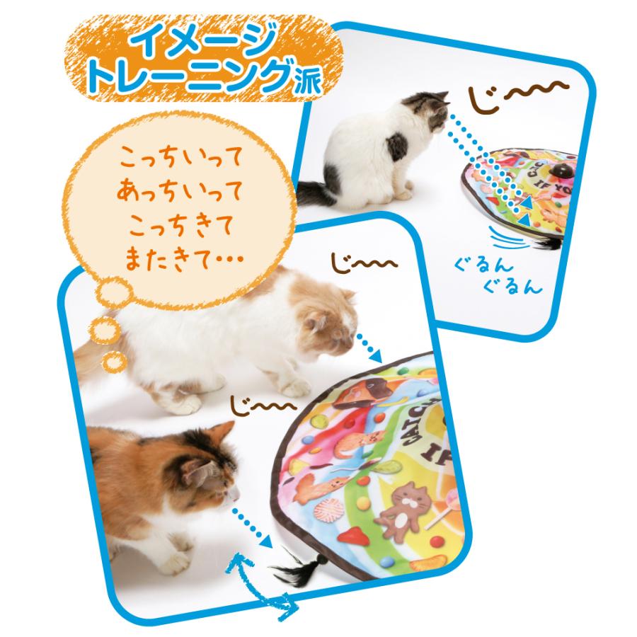 猫壱　キャッチミーイフユーキャン2　おもちゃ　ストレス解消　猫　ネコ　ねこ　 |  | 02