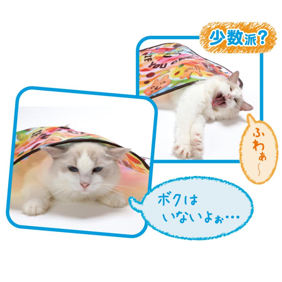 猫壱　キャッチミーイフユーキャン2　おもちゃ　ストレス解消　猫　ネコ　ねこ　 |  | 03