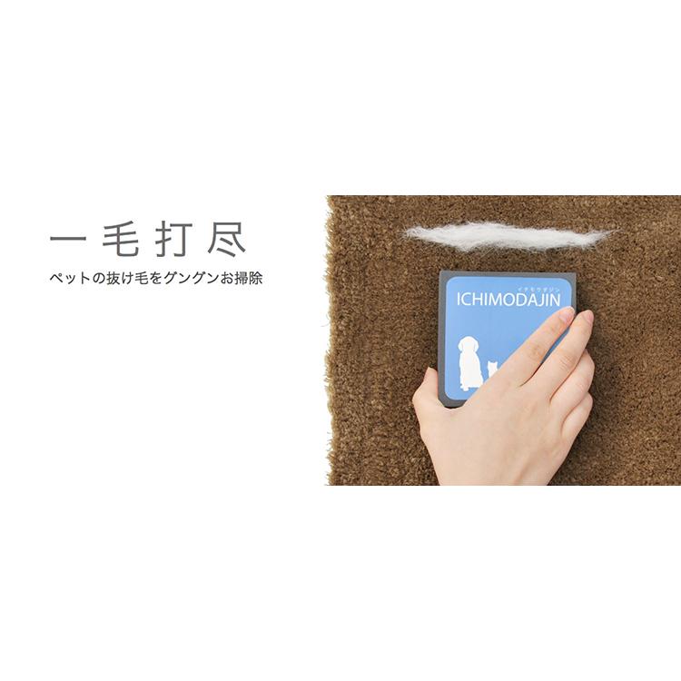 リアライズ　一毛打尽　ソファ・カーシート用　掃除　抜け毛　クリーナー　ペット用 |  | 01