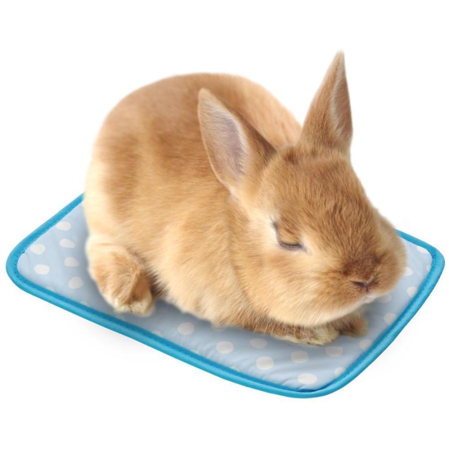 マルカン　接触冷感　うさちゃんのひんやりマット　S　小動物用　マット　ひんやり　冷感マット　暑さ対策 |  | 02