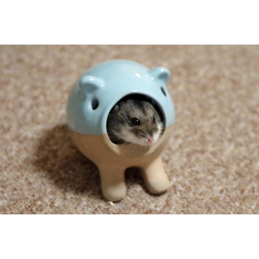 三晃商会　素焼きの爪とぎ　砂浴びハウス　ミニハムスター　ドワーフ　ケージ　陶器製　ハウス　砂浴び |  | 02