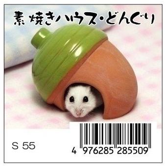 三晃商会 素焼きハウス どんぐり ハムスター用 ケージ ハウス サークル 隠れ家 陶器製 4976285285509 | 三晃商会 | 05