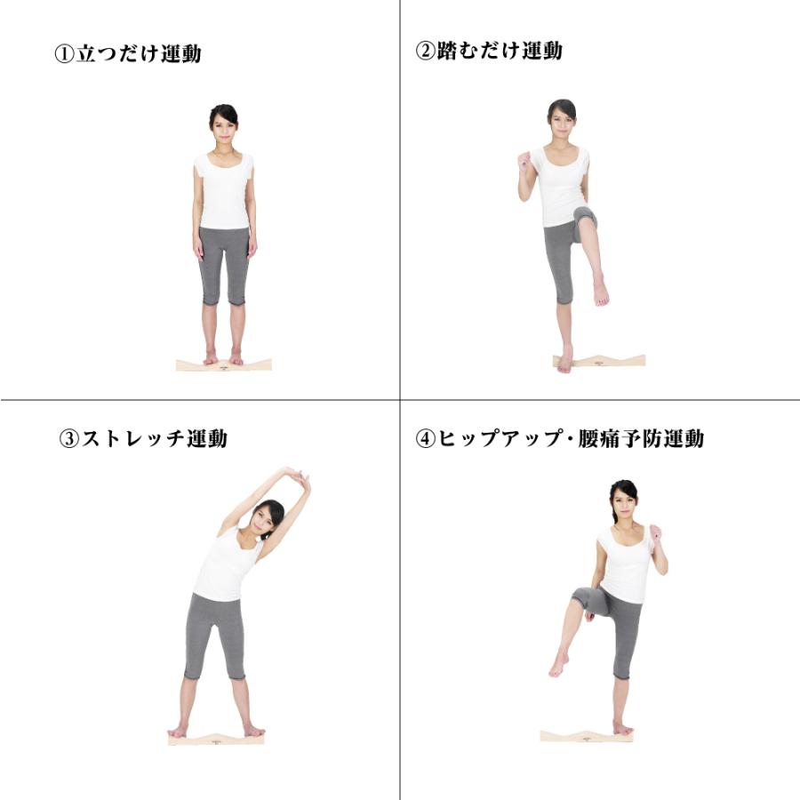 Alinco アルインコ キュットピット Exg138 ストレッチ シェイプアップ 筋トレ 美脚 骨盤 ひざ 引き締め 日本製 Exg138 Stream Tech 通販 Yahoo ショッピング