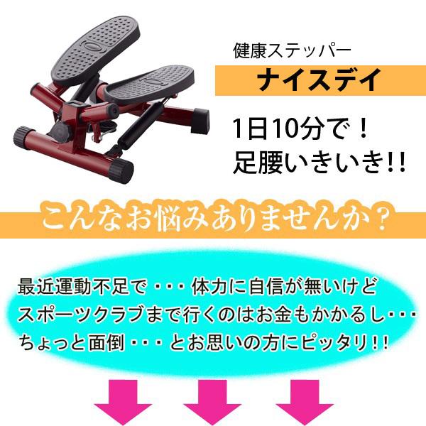 ショップジャパン 健康ステッパー ナイスデイ RED ShopJapan ショップジャパン 健康ステッパー ナイスデイ RED ShopJapan