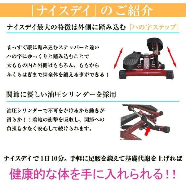 ショップジャパン 健康ステッパー ナイスデイ RED ShopJapan ショップジャパン 健康ステッパー ナイスデイ RED ShopJapan