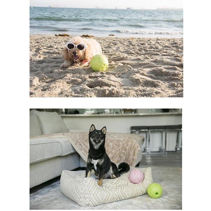 Petique ペティーク パウミートリートボール 知育玩具 知育トイ ストレス解消 安心 安全 おもちゃ 犬 イヌ いぬ 中型犬 大型犬 ボール おやつ 米ブランド |  | 09