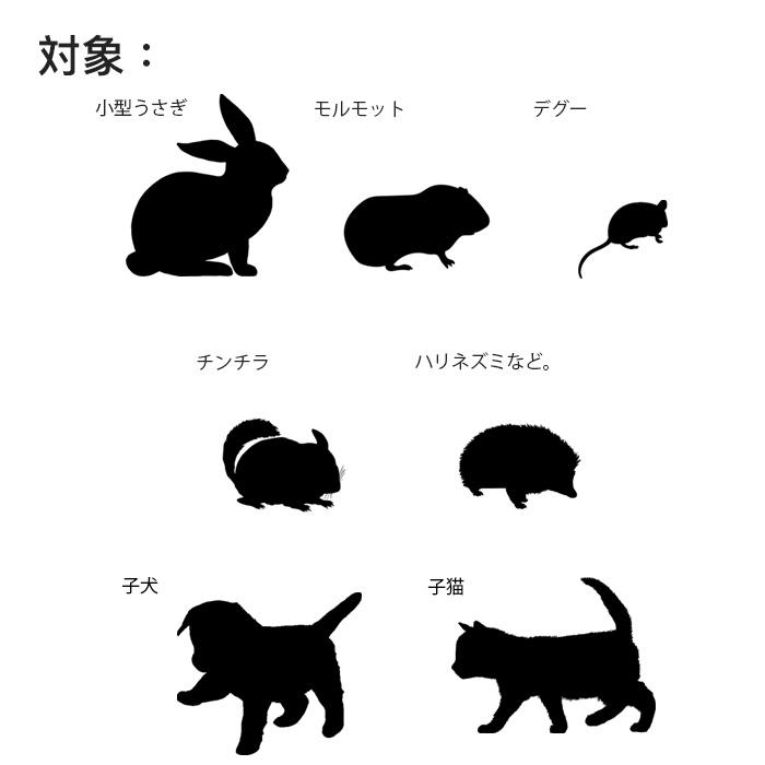 Petique ペティーク ローバー ペットキャリー 小動物 うさぎ チンチラ ハリネズミ 子犬 子猫 ショルダーバッグ キャリーバッグ お出かけ 2WAY 米ブランド |  | 05