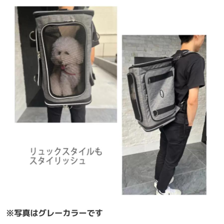 Petique ぺティーク 2LDK 2WAY ペットリュック ショルダーバッグ 犬 猫 おでかけ 旅行 通院 防災　 |  | 06