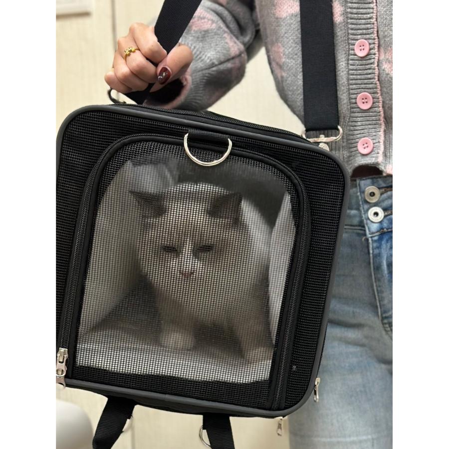 Petique ぺティーク 2LDK 2WAY ペットリュック ショルダーバッグ 犬 猫 おでかけ 旅行 通院 防災　 |  | 08