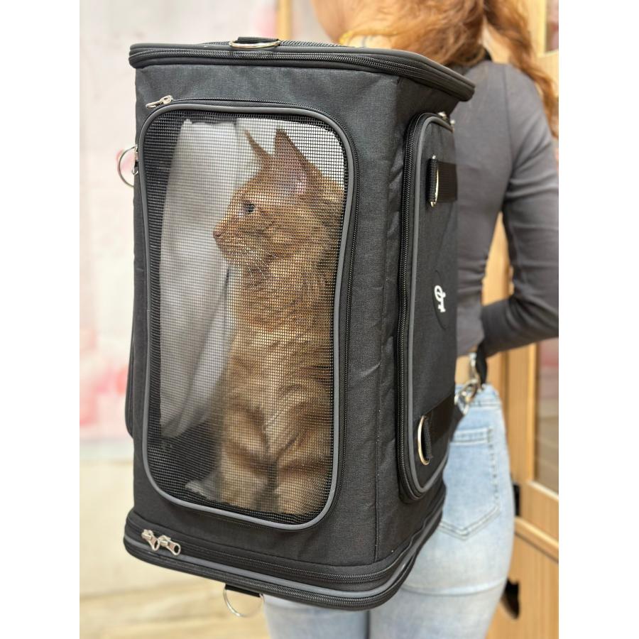 Petique ぺティーク 2LDK 2WAY ペットリュック ショルダーバッグ 犬 猫 おでかけ 旅行 通院 防災　 |  | 09