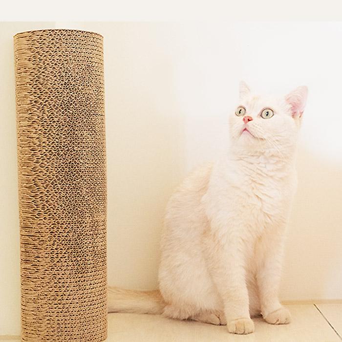 Petique ペティーク キティーコーナー 猫 つめとぎ 爪とぎ コーナー用 キズ防止 ダンボール 子猫 成猫 運動不足 ストレス解消  簡単2個組 ねこ ネコ 米ブランド |  | 08