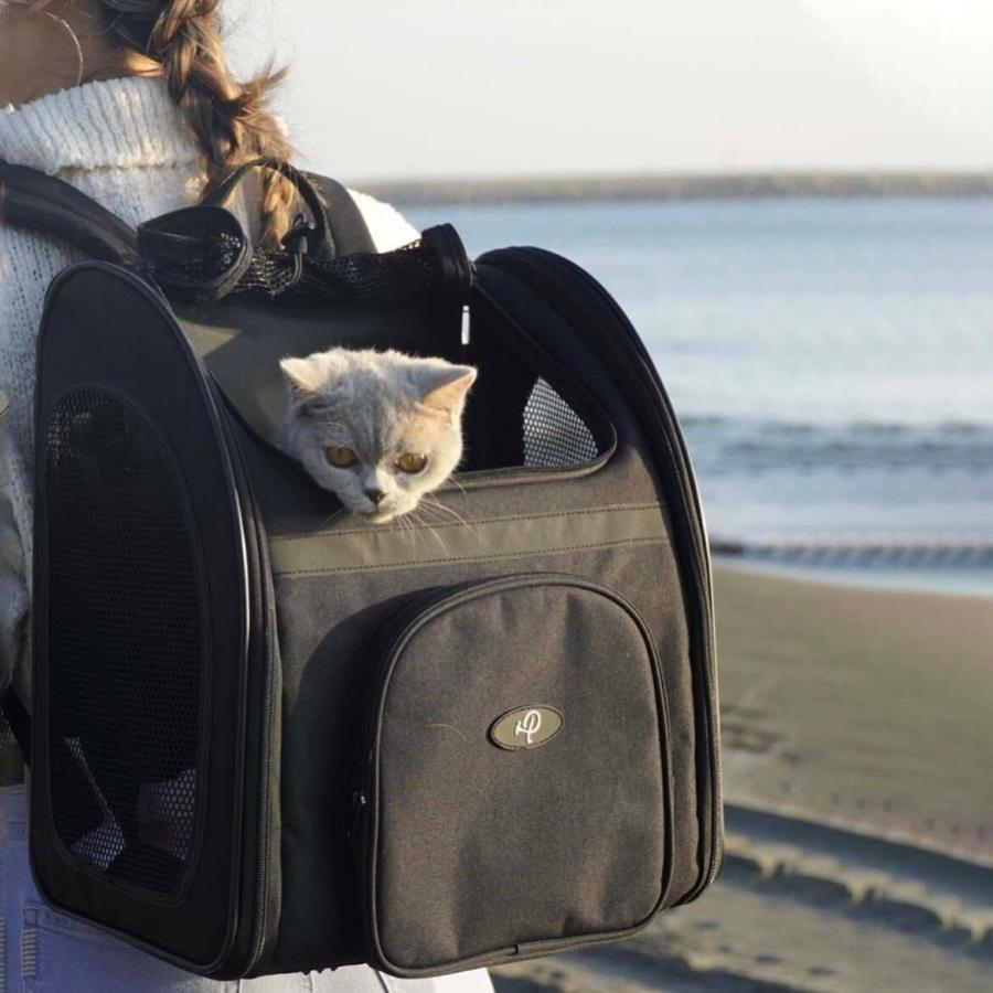 Petique ペティーク バックパッカー ブラックシャドー ペットキャリー
