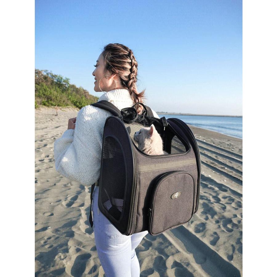 美品 ペティーク/Petique バックパッカー PC02040003 ペットリュック 耐荷重12kg グレー ペットキャリー 小型 札幌 西野店 Petique ペティーク バックパッカー ペットキャリー キャリーバッグ
