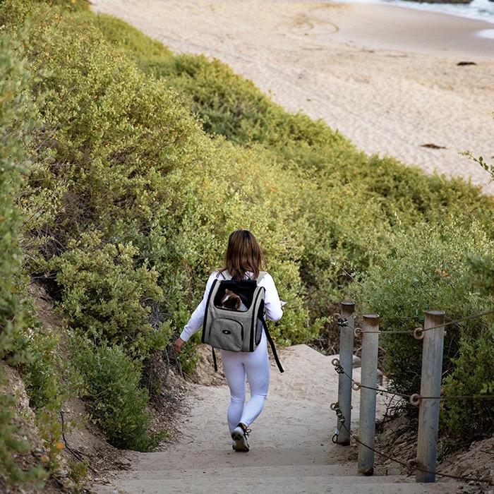 Petique ペティーク バックパッカー ペットキャリー キャリーバッグ ペットリュック バックパック リュックサック 折り畳み 犬 猫 小動物 旅行 米ブランド |  | 11