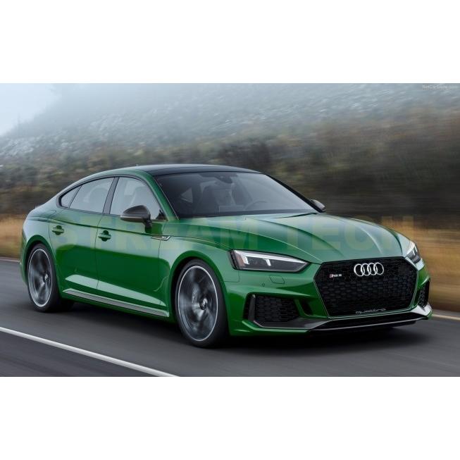 AUDI アウディ F5 A5 S5 前期用 RSタイプ ハニカムグリル 2種類