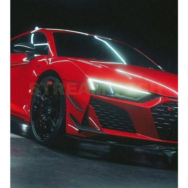 AUDI アウディ 4S R8 後期用 GT RWDタイプ ドライカーボン