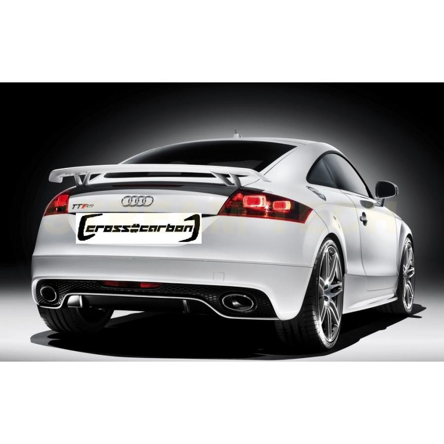 AUDI アウディ 8J TT TTS TTRS用 RSタイプ 二段式 カーボン リア 