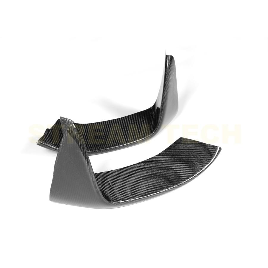 BMW F80 M3 F82 F83 M4用 パフォーマンスタイプ カーボン