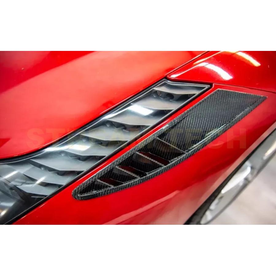 Ferrari フェラーリ 458 イタリア用 DMcタイプ リアルカーボン
