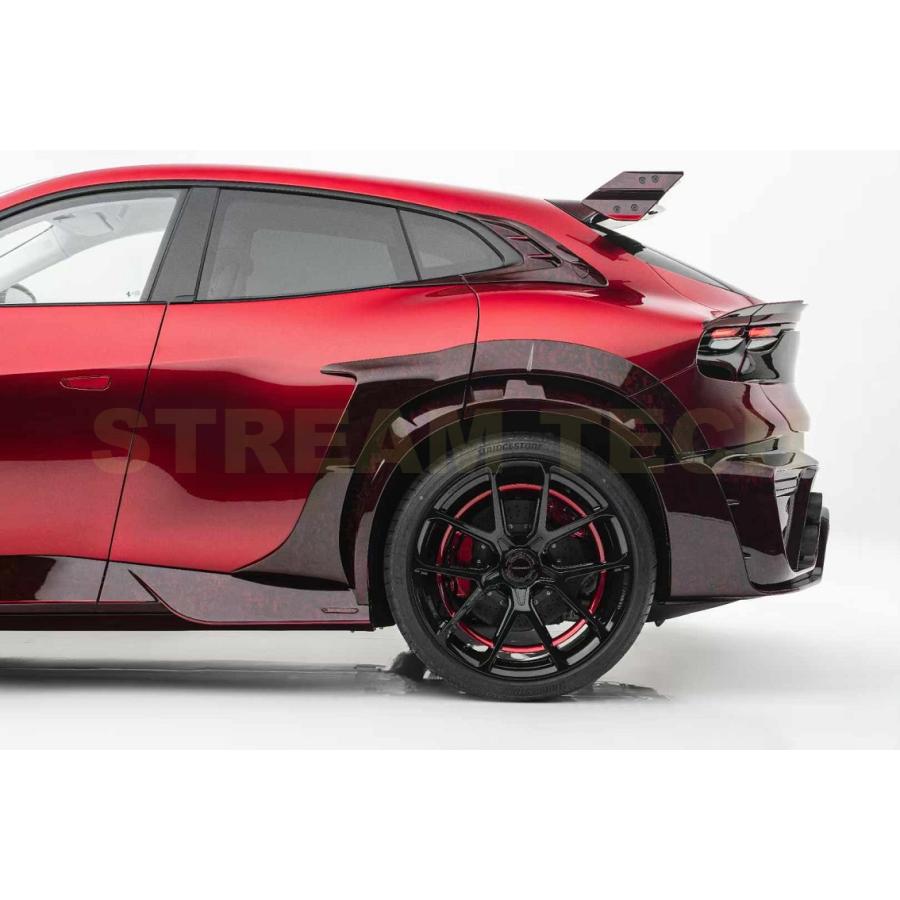 Ferrari フェラーリ プロサングエ用 マンソリー仕様 ドライカーボン