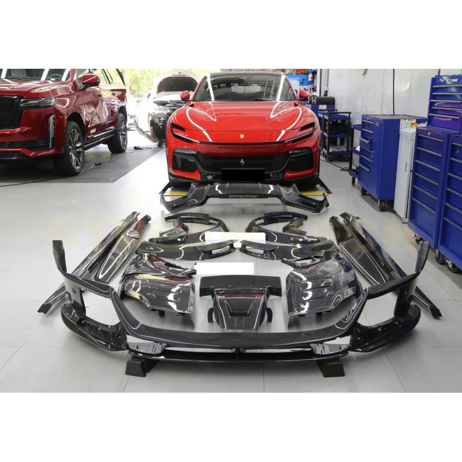 Ferrari フェラーリ プロサングエ用 オプション仕様 ドライカーボン 