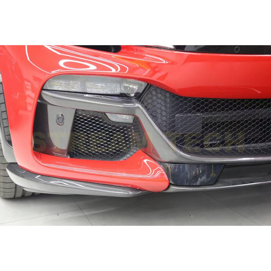 Ferrari フェラーリ プロサングエ用 オプション仕様 ドライカーボン 