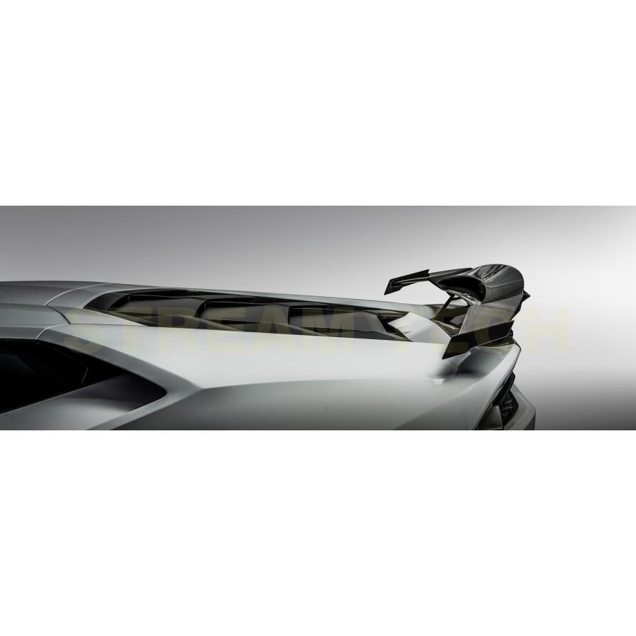 Lamborghini ランボルギーニ ウラカン LP610用 カーボン GTウイング