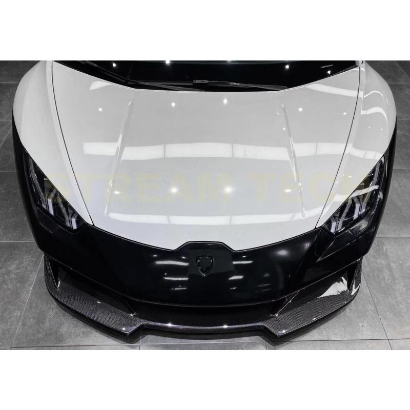 Lamborghini ランボルギーニ ウラカン LP610 LP580用 VRSタイプ ハーフ