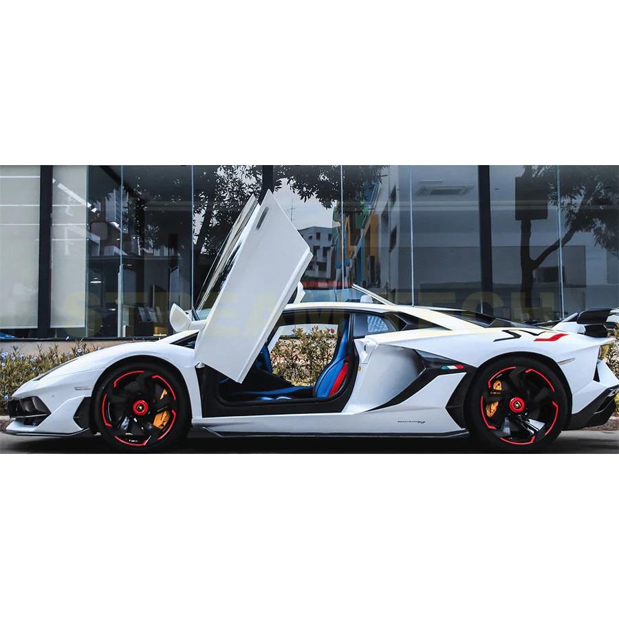 Lamborghini ランボルギーニ アヴェンタドール LP700用 SVJタイプ