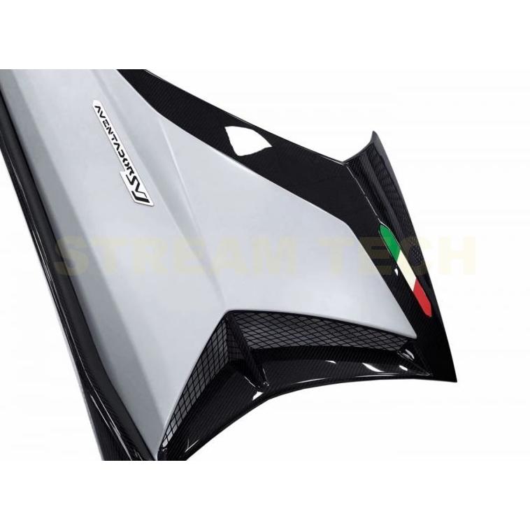 Lamborghini ランボルギーニ アヴェンタドール LP700用 SVJタイプ